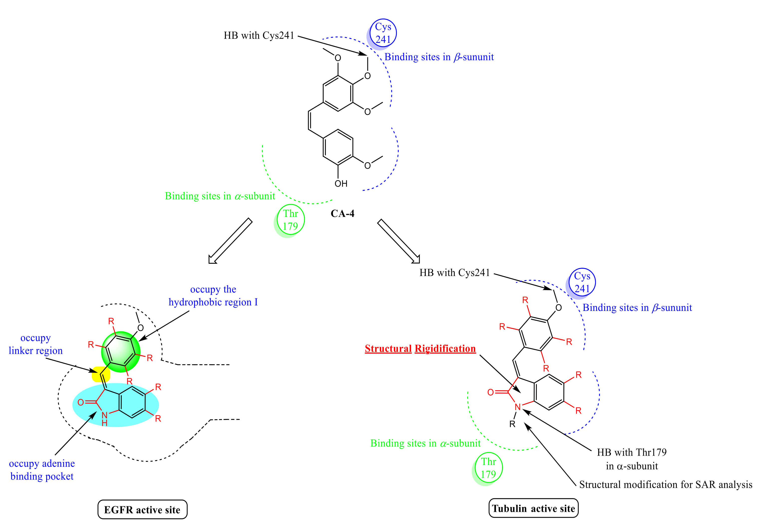 Pharmaceuticals 14 01114 g003