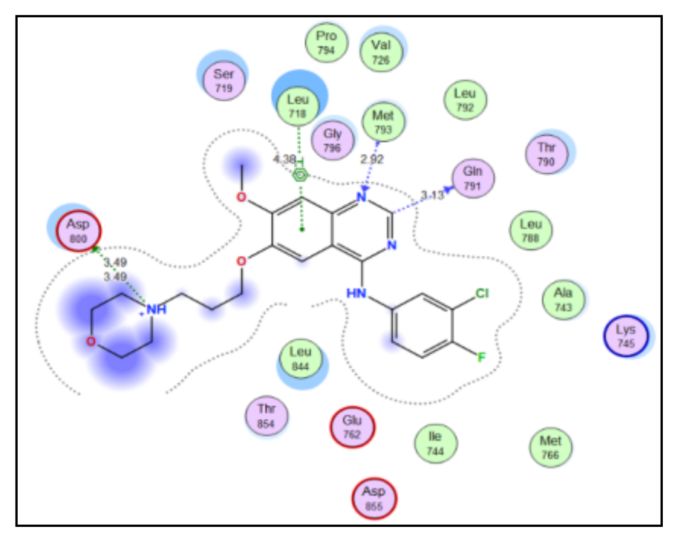 Pharmaceuticals 14 01114 g007