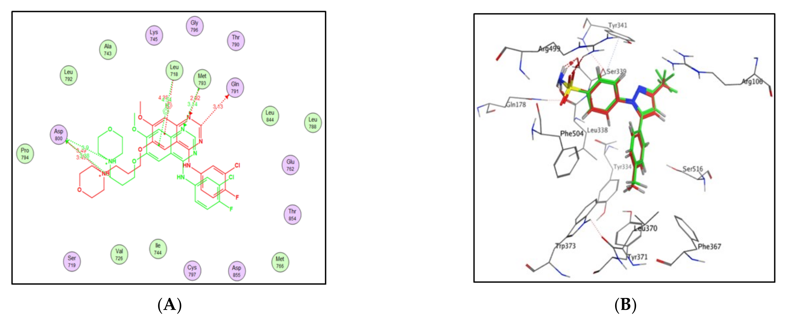 Pharmaceuticals 14 01114 g008