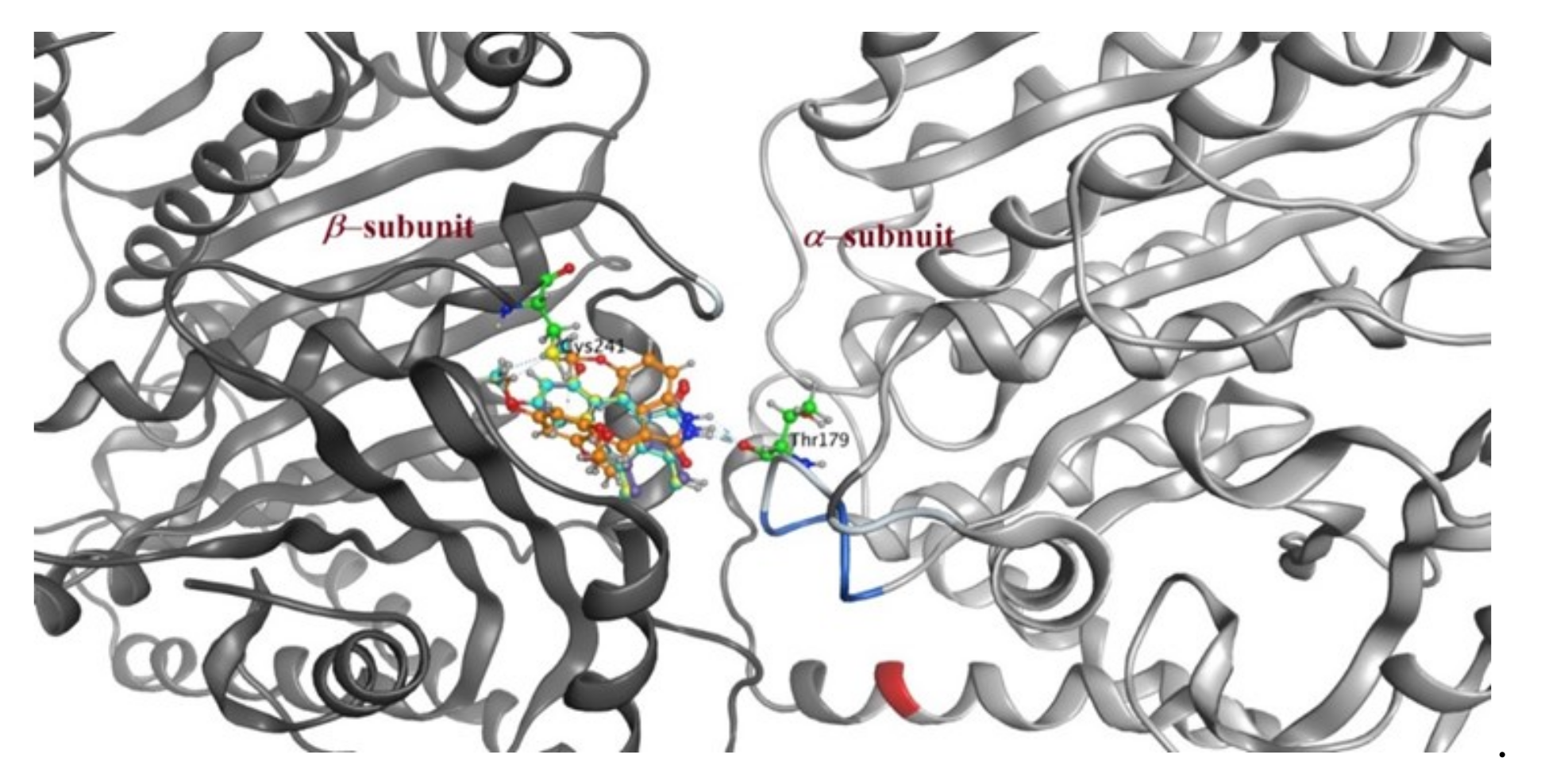Pharmaceuticals 14 01114 g011