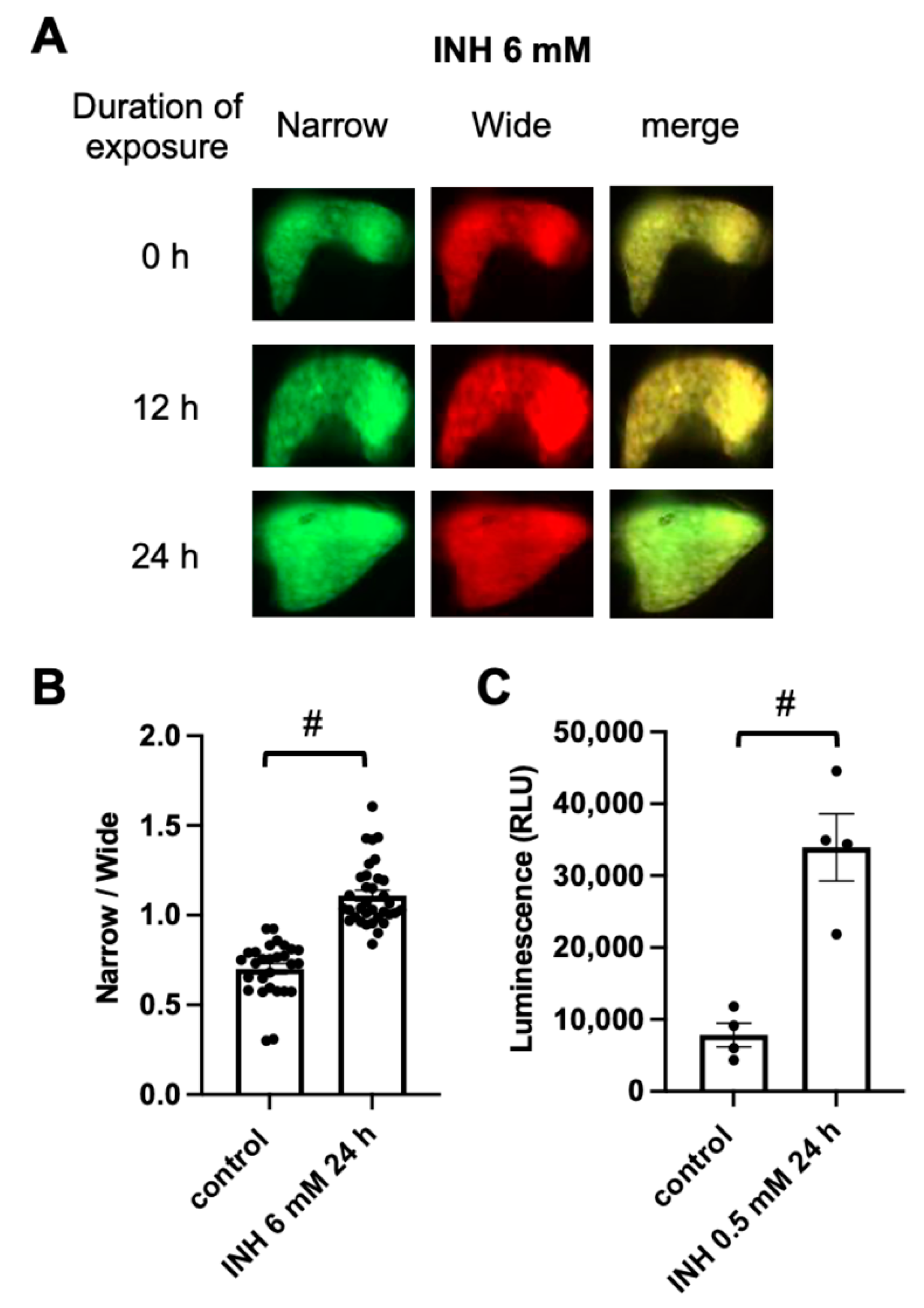 Pharmaceuticals 14 01117 g002