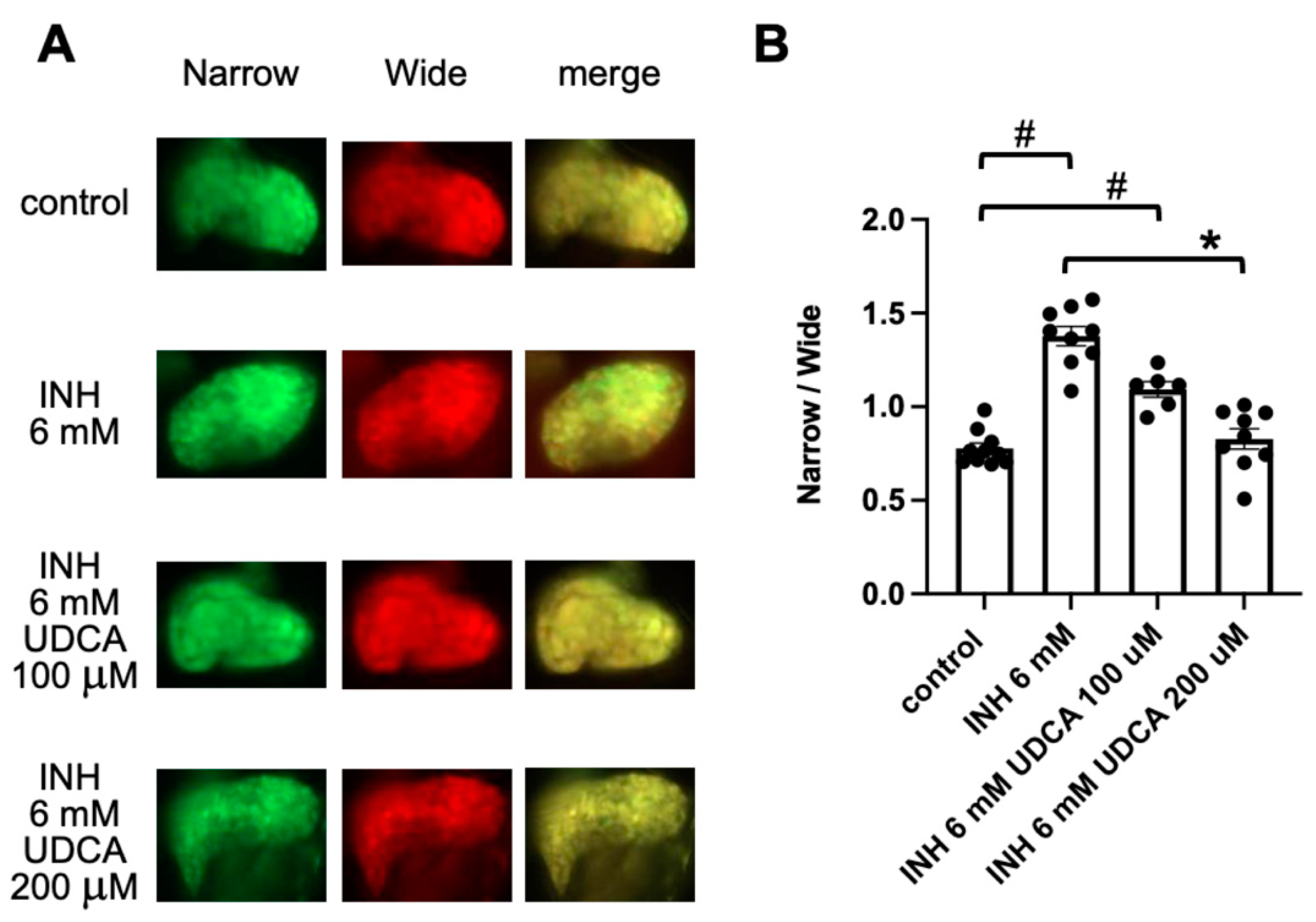 Pharmaceuticals 14 01117 g003