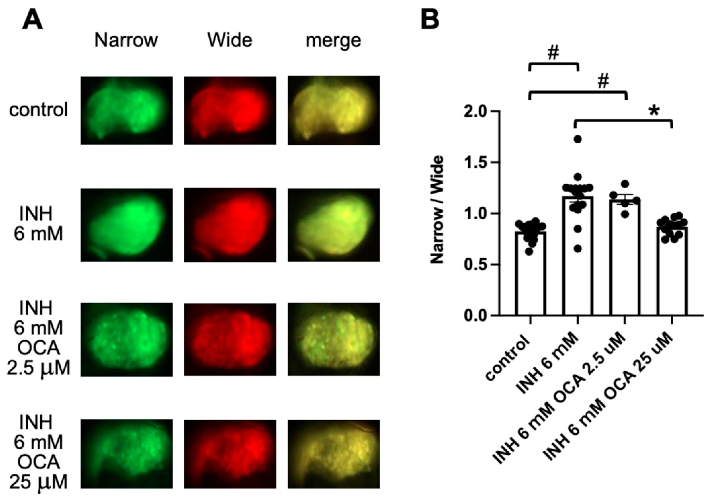 Pharmaceuticals 14 01117 g004