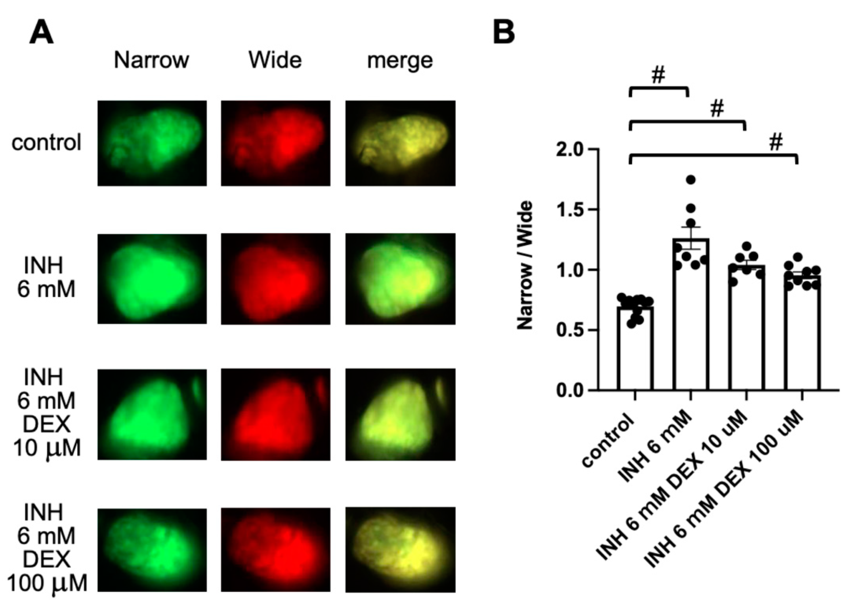 Pharmaceuticals 14 01117 g005