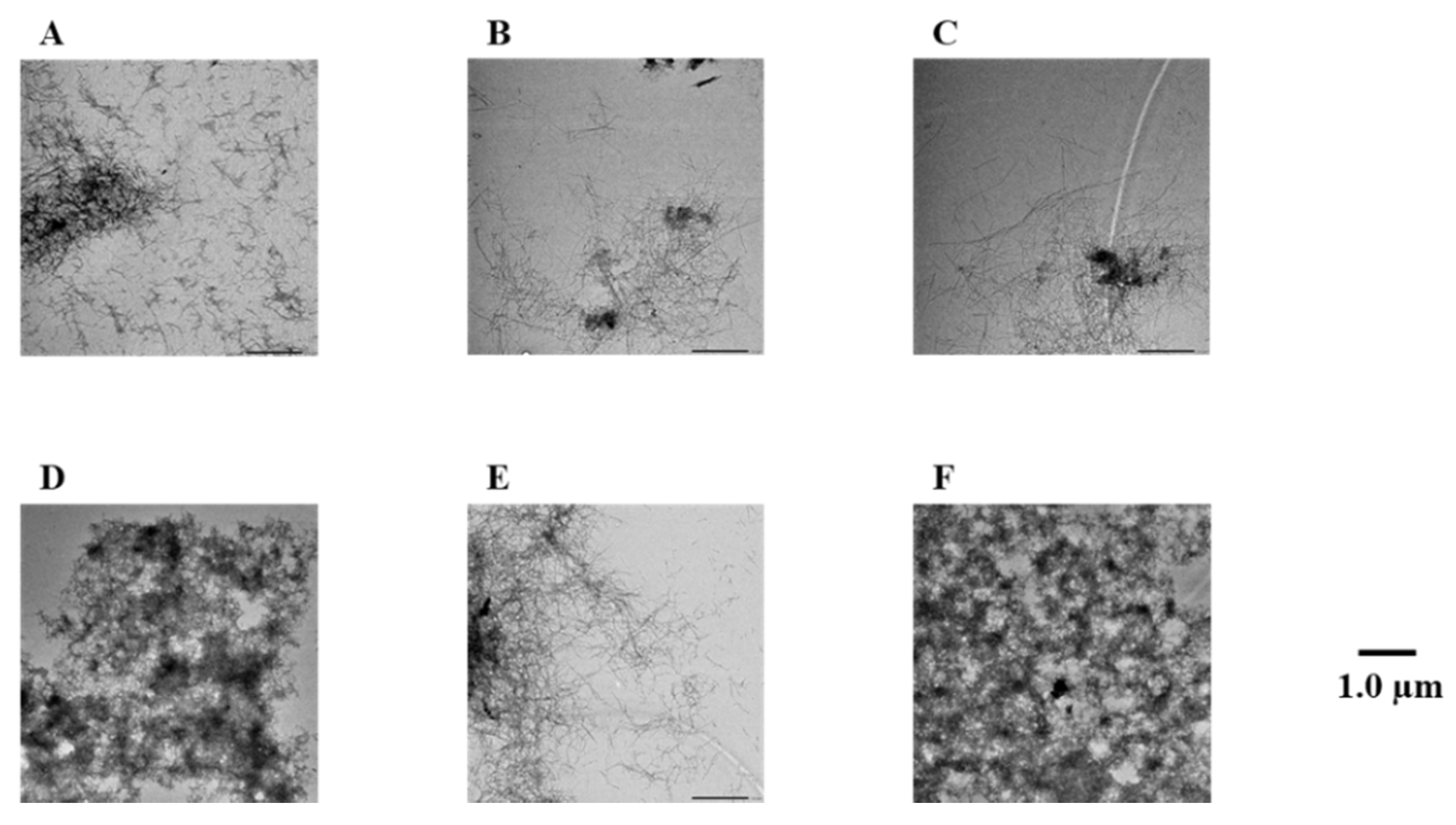 Pharmaceuticals 14 01118 g003