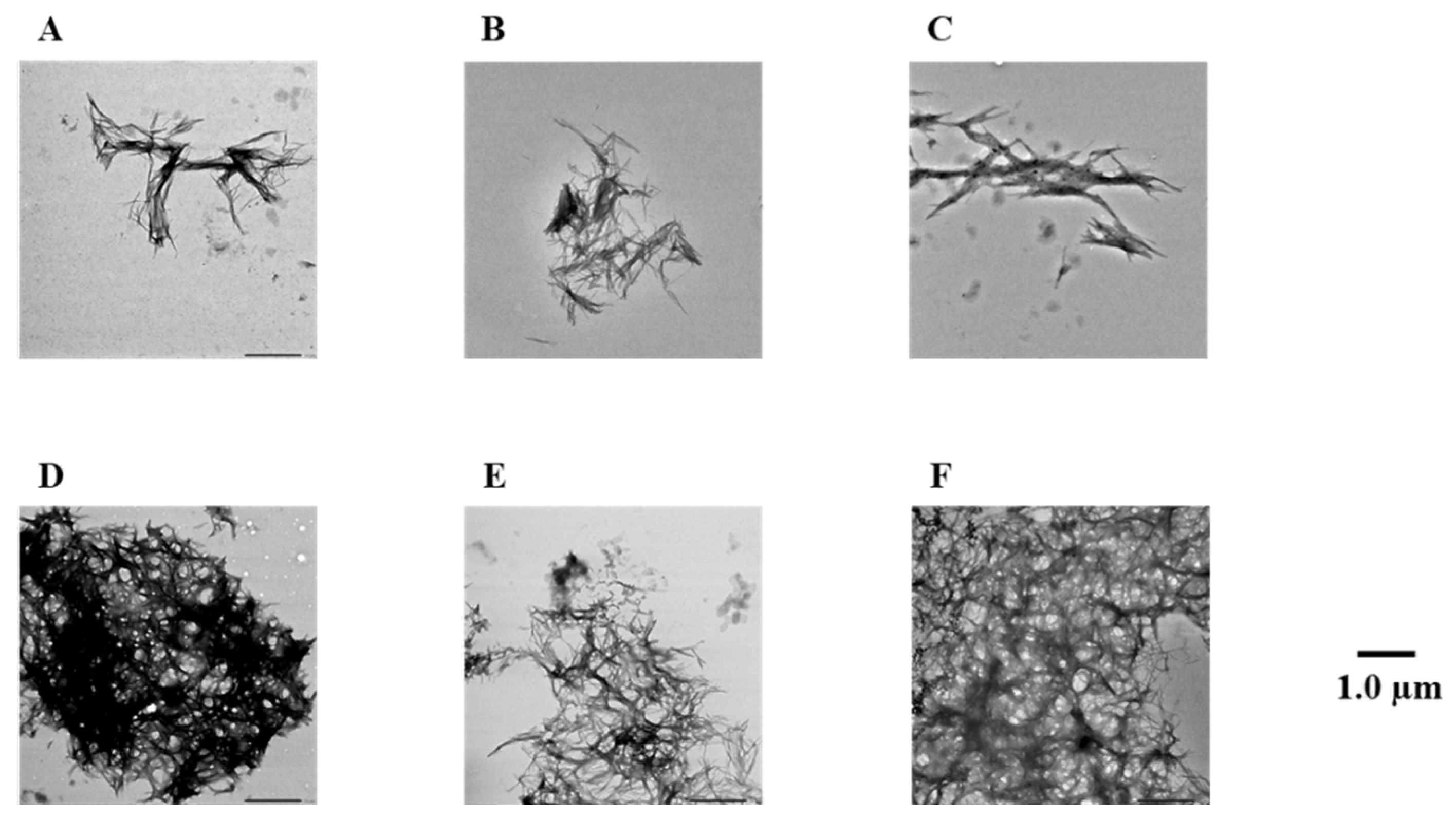 Pharmaceuticals 14 01118 g005