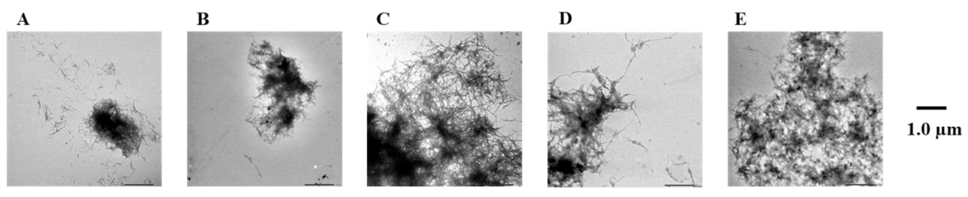 Pharmaceuticals 14 01118 g007