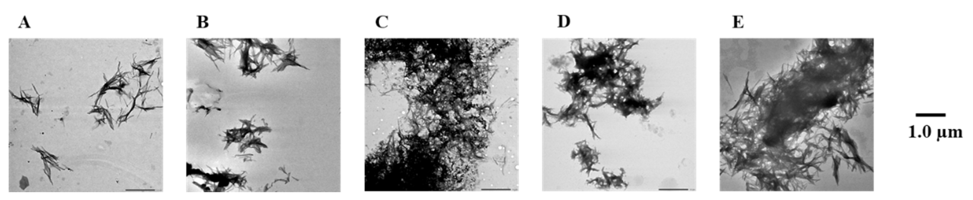 Pharmaceuticals 14 01118 g009
