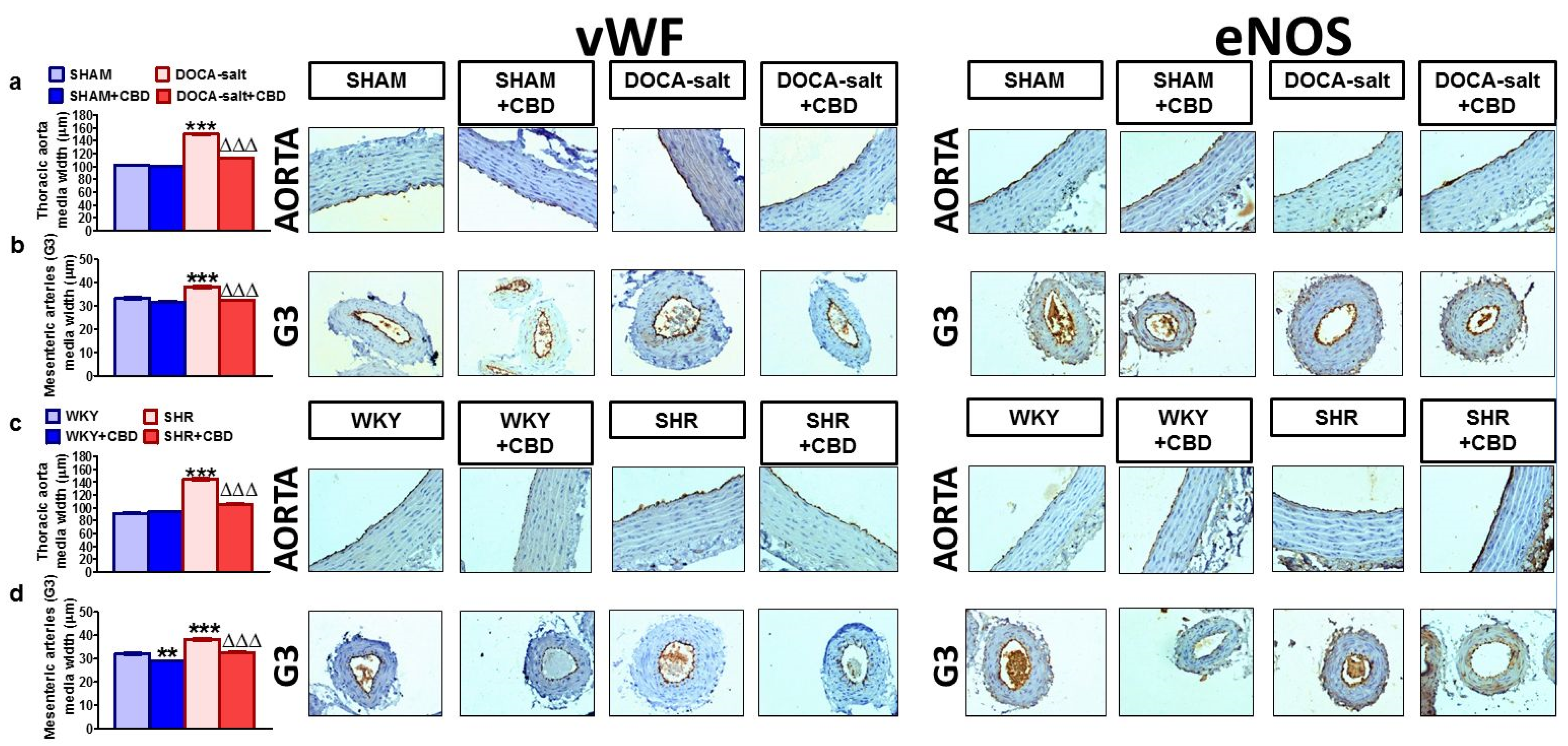 Pharmaceuticals 14 01120 g004