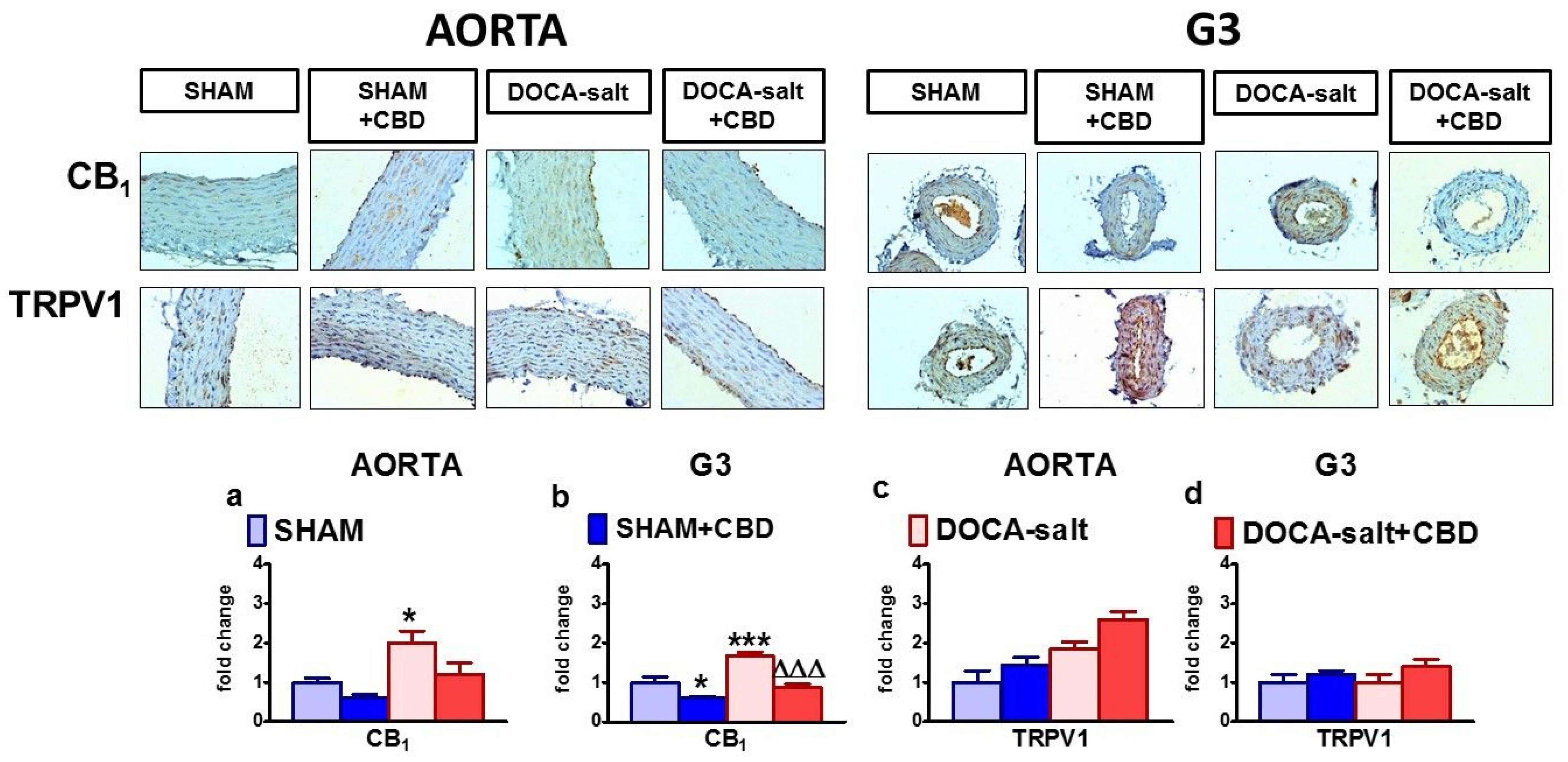 Pharmaceuticals 14 01120 g005