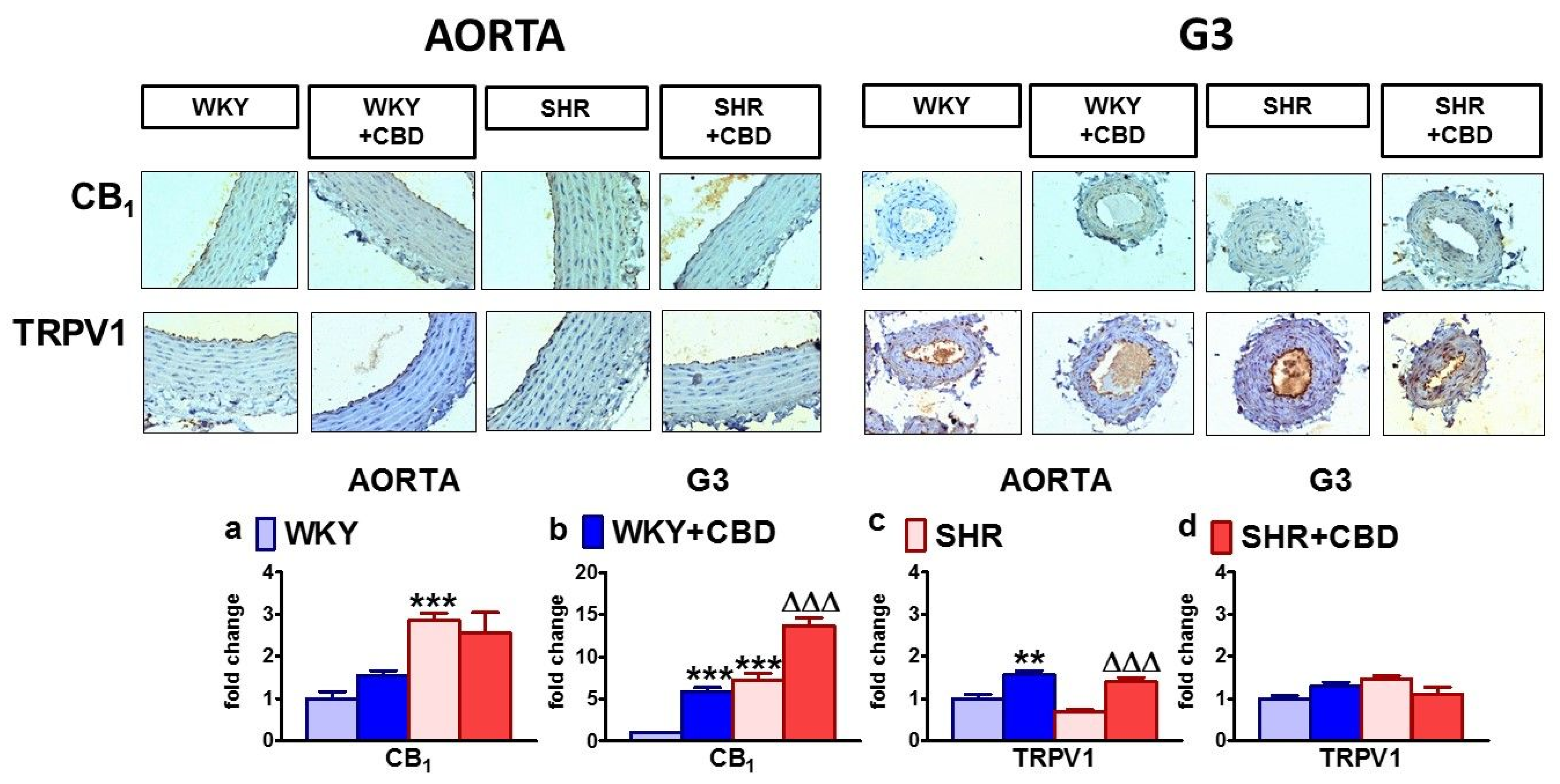 Pharmaceuticals 14 01120 g006
