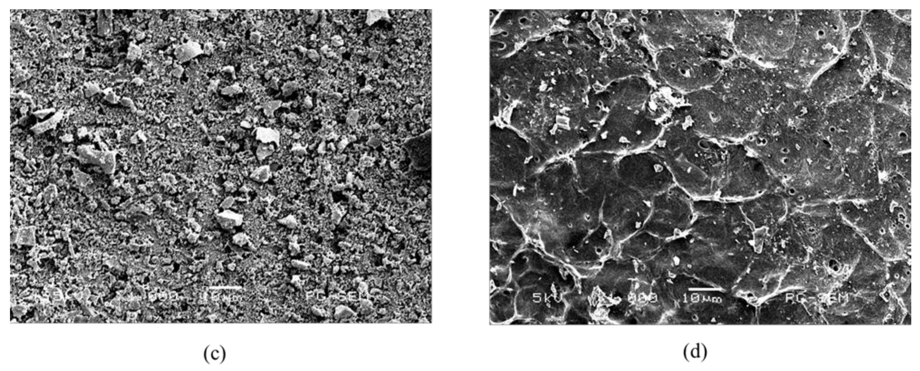 Pharmaceuticals 14 01124 g003b 550