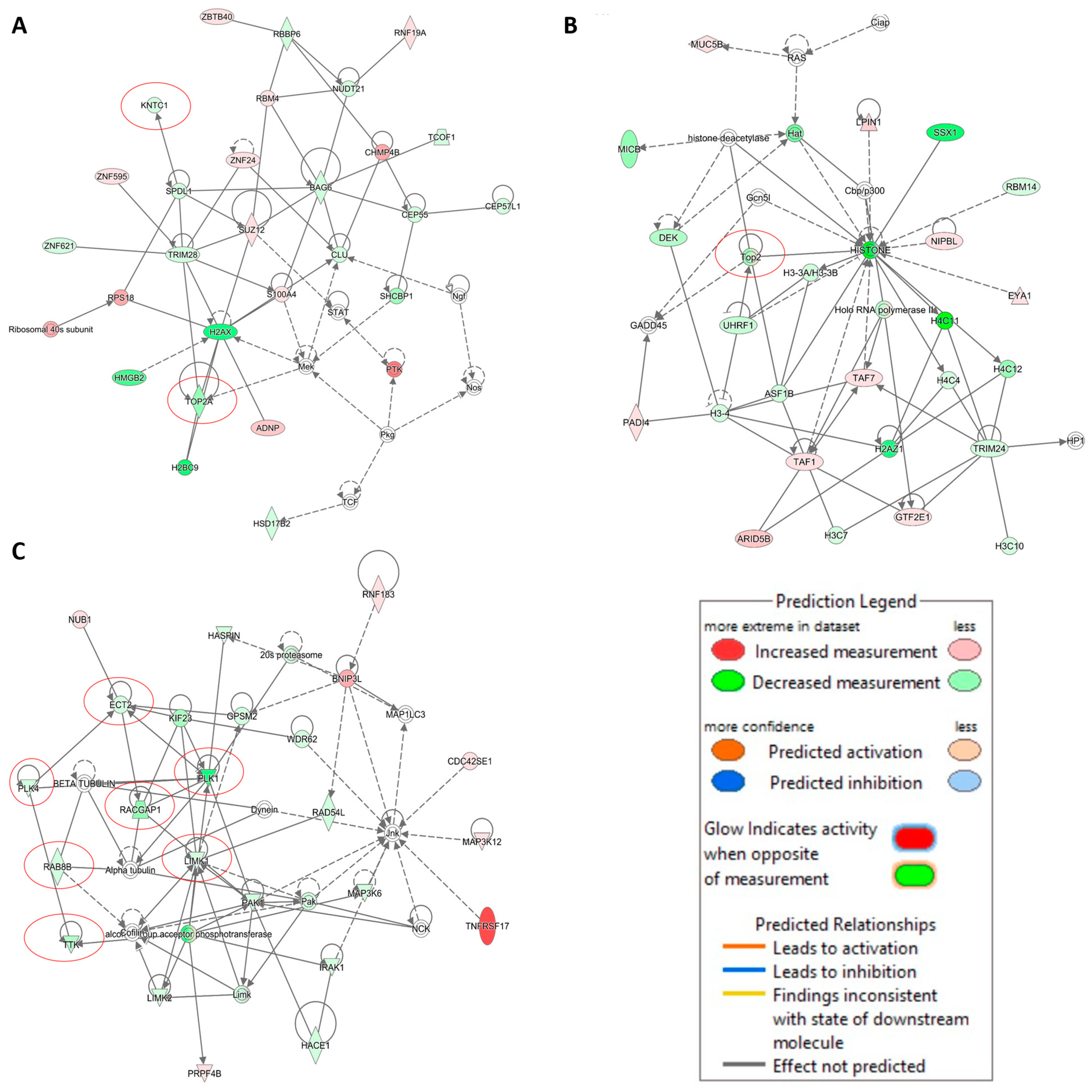 Pharmaceuticals 14 01126 g009 Pharmaceuticals 14 01126 g009