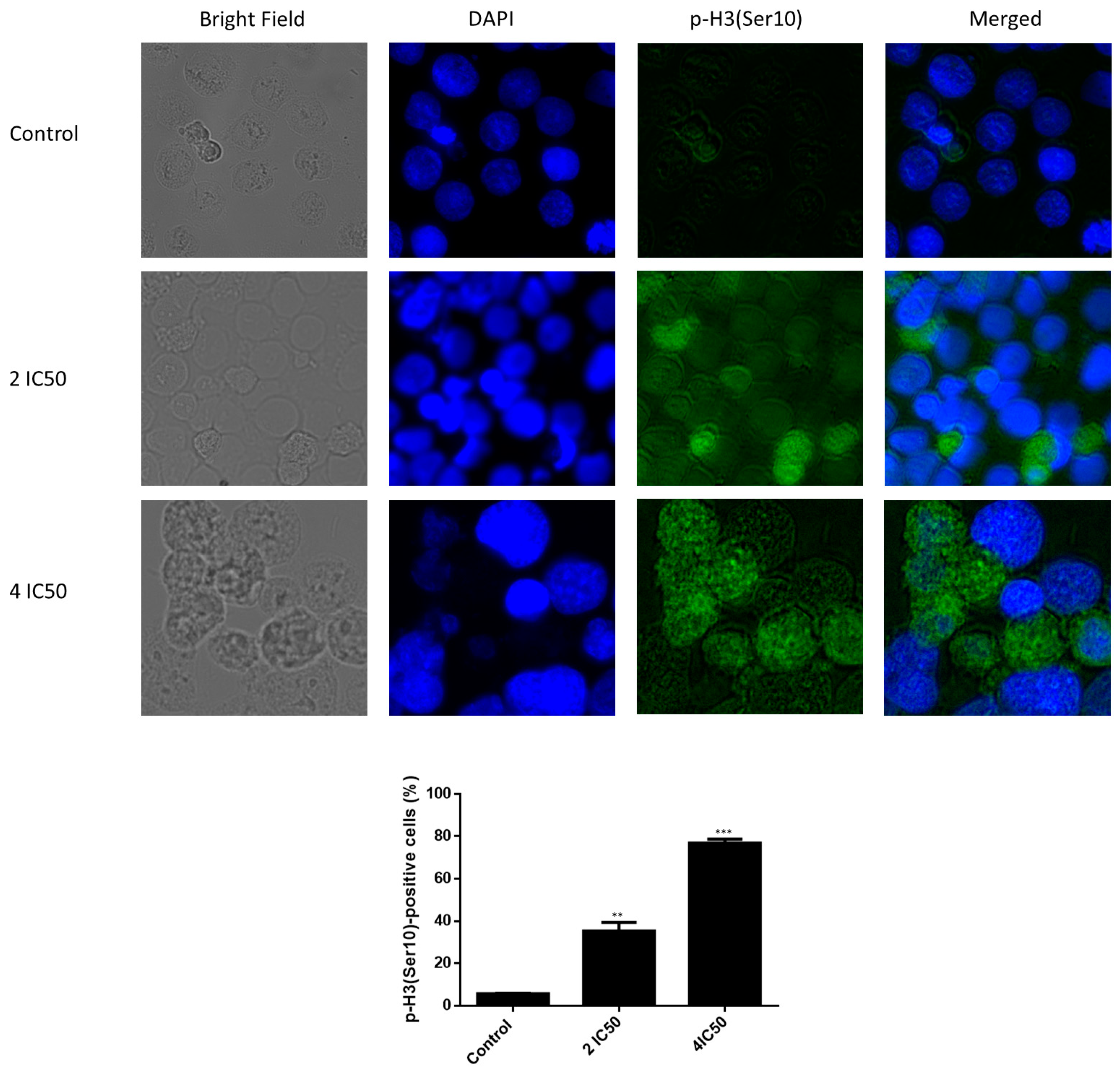 Pharmaceuticals 14 01126 g011 Pharmaceuticals 14 01126 g011