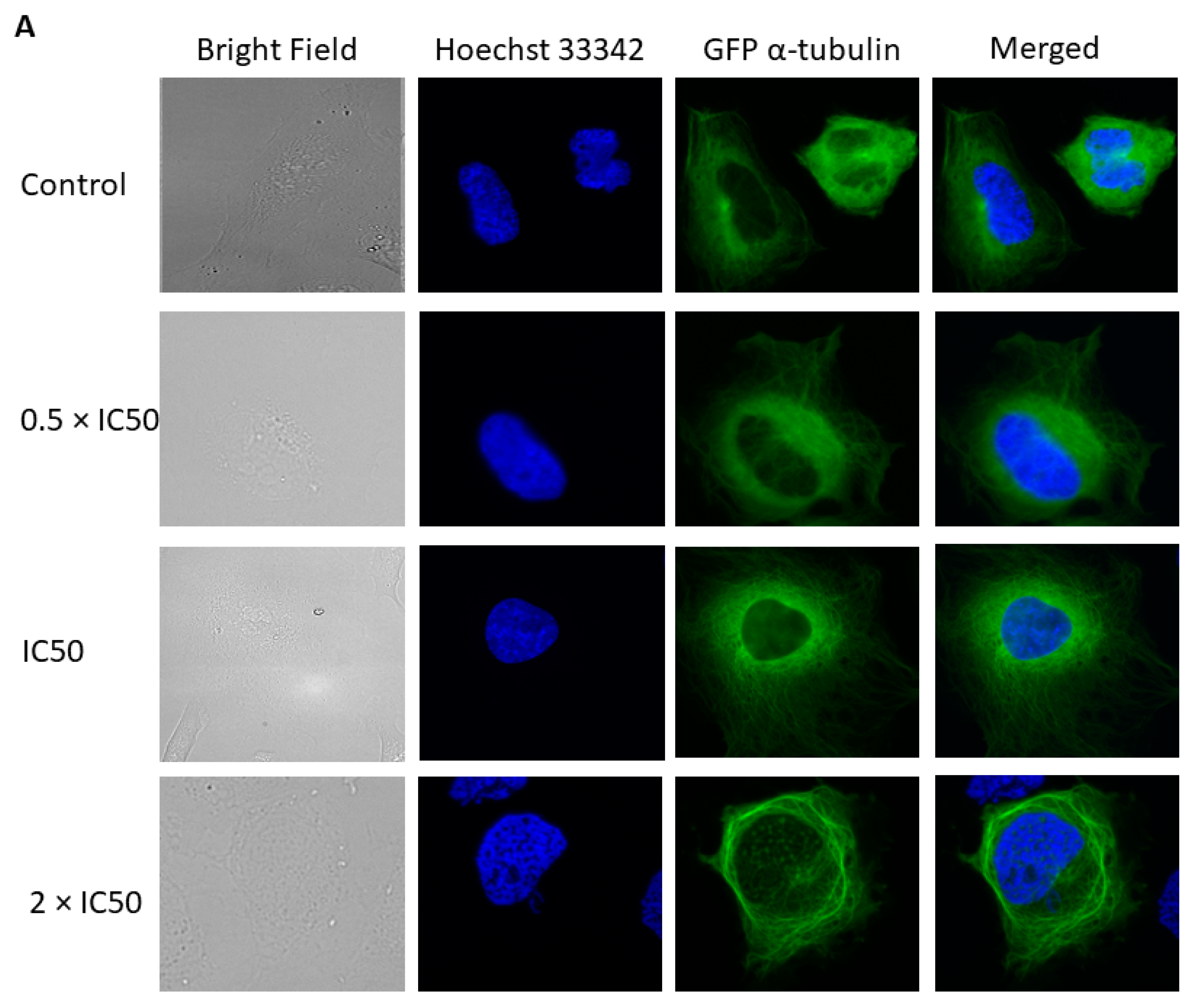 Pharmaceuticals 14 01126 g012a Pharmaceuticals 14 01126 g012a