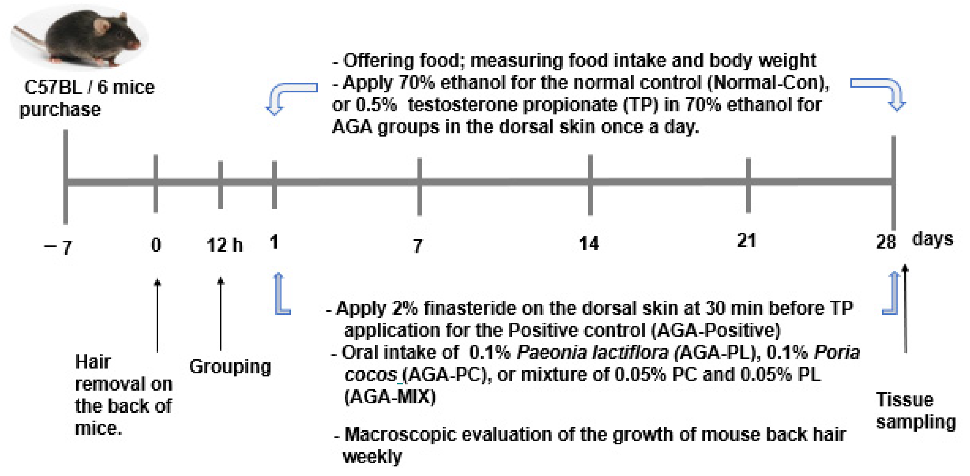 alopecia és prostatitis