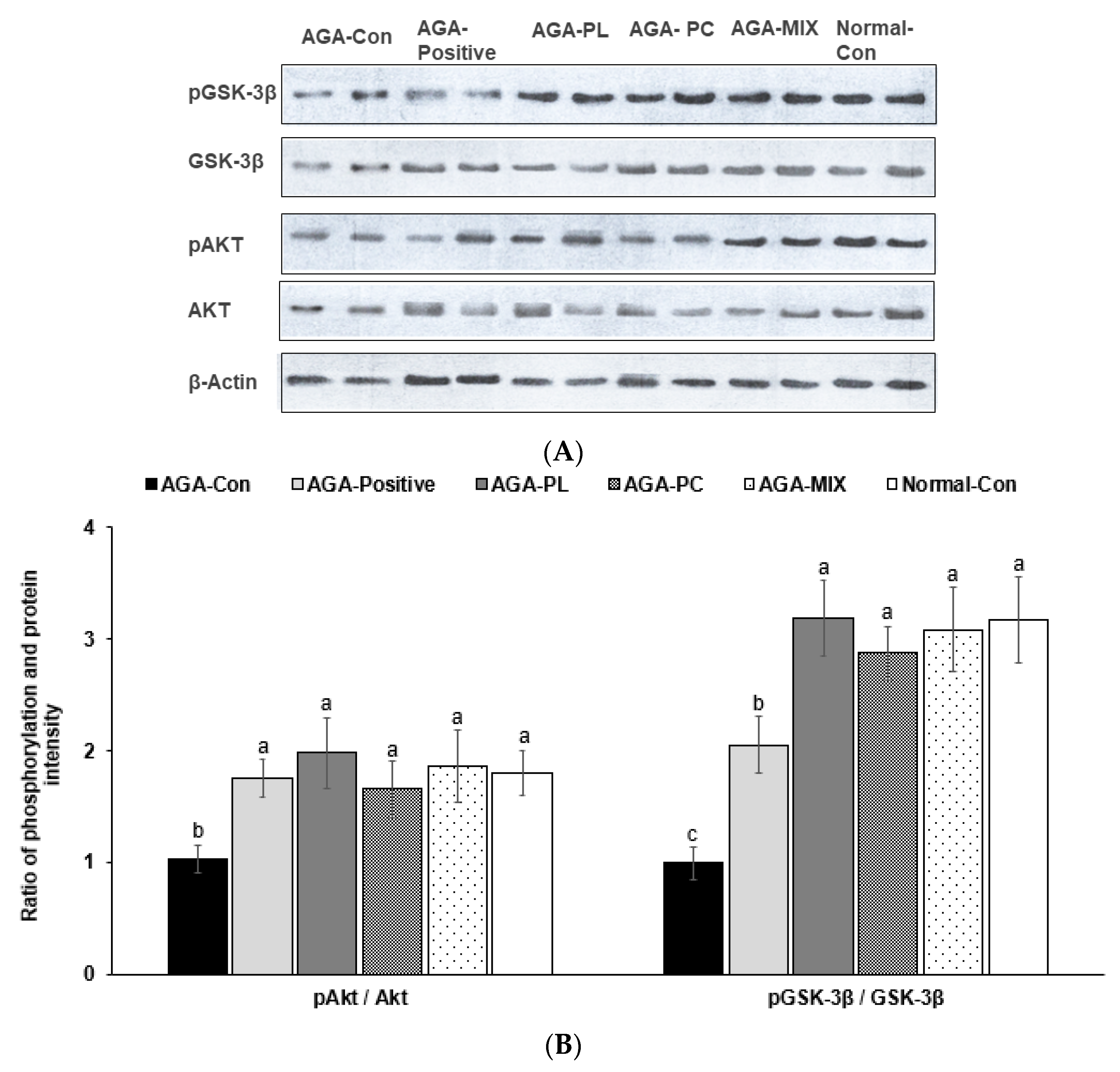 Pharmaceuticals 14 01128 g006 550