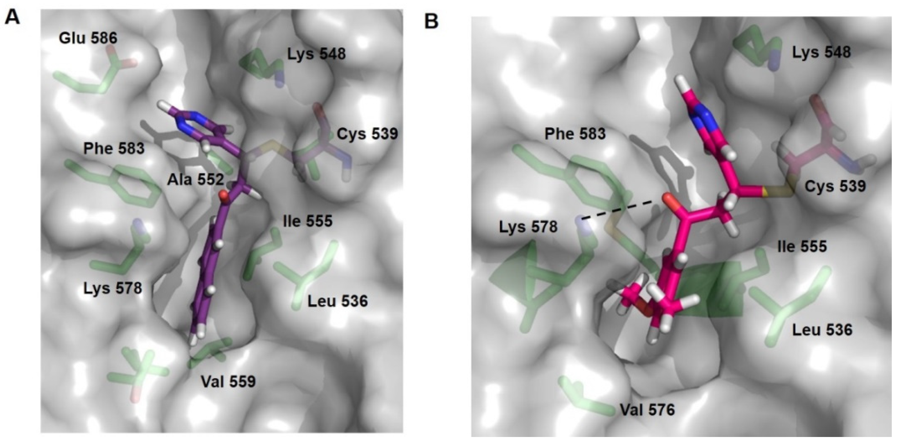Pharmaceuticals 14 01131 g005