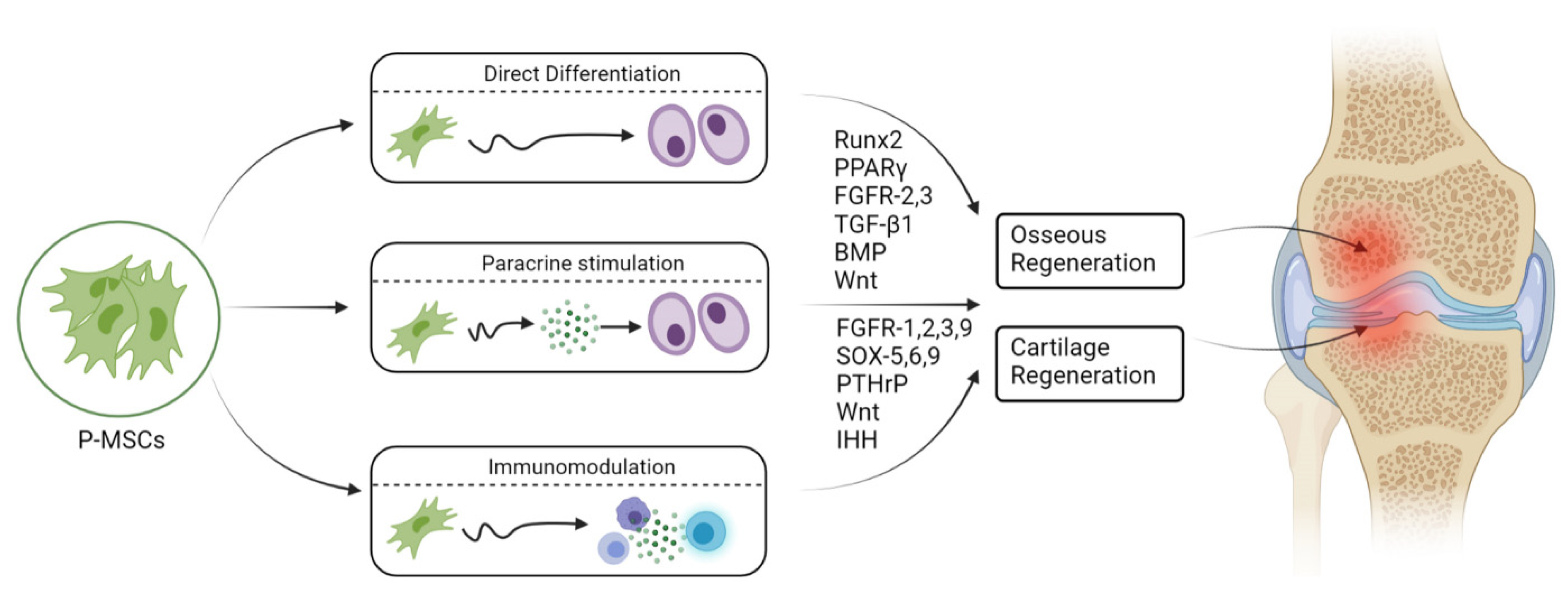Pharmaceuticals 14 01133 g002 Pharmaceuticals 14 01133 g002