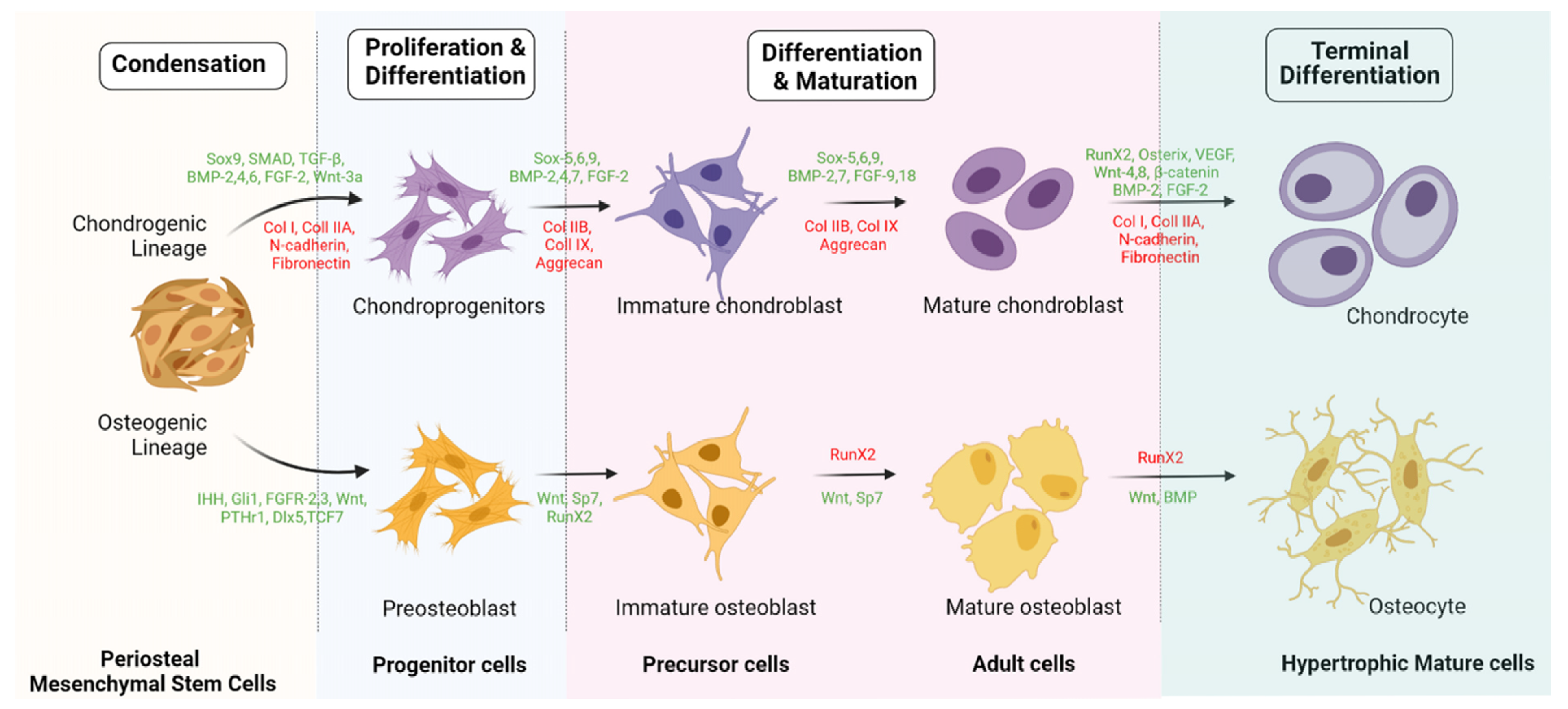 Pharmaceuticals 14 01133 g003 Pharmaceuticals 14 01133 g003