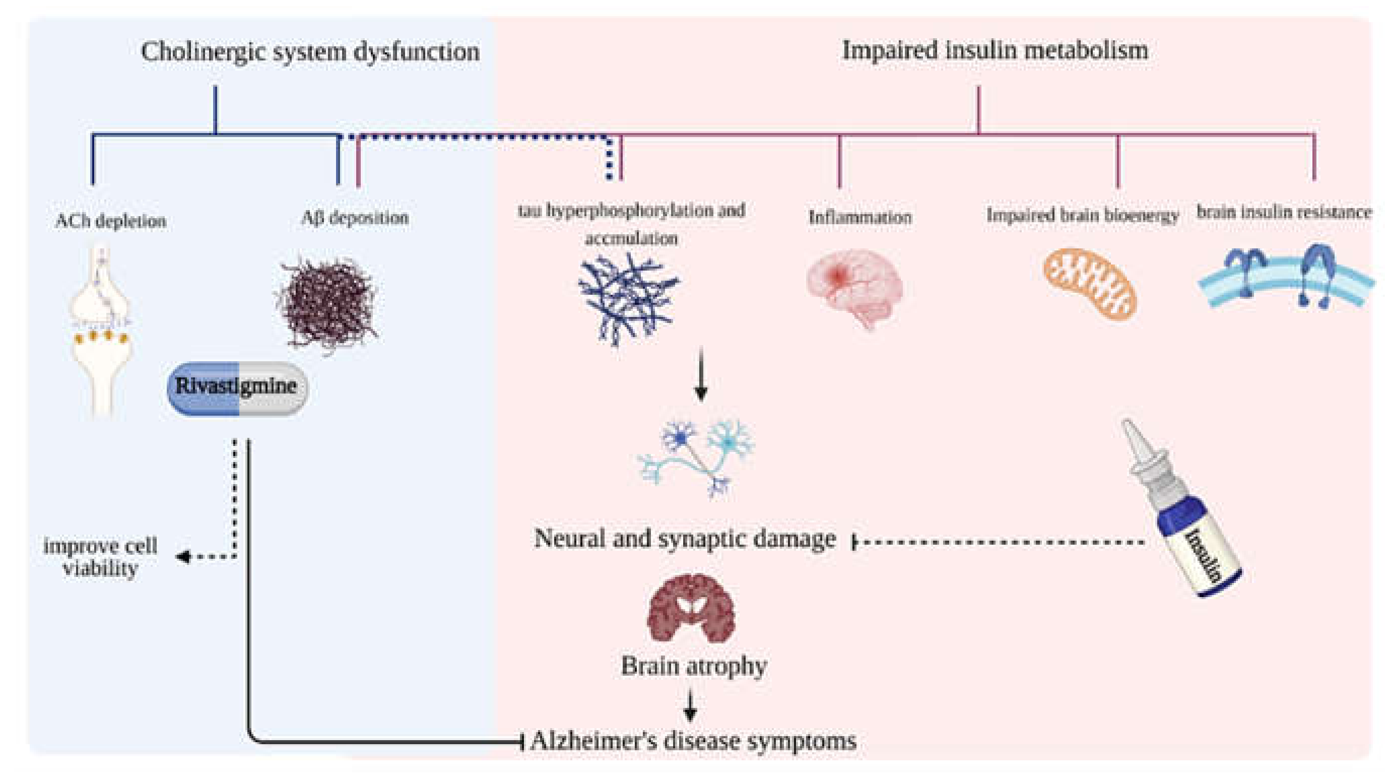 Pharmaceuticals 14 01136 g001