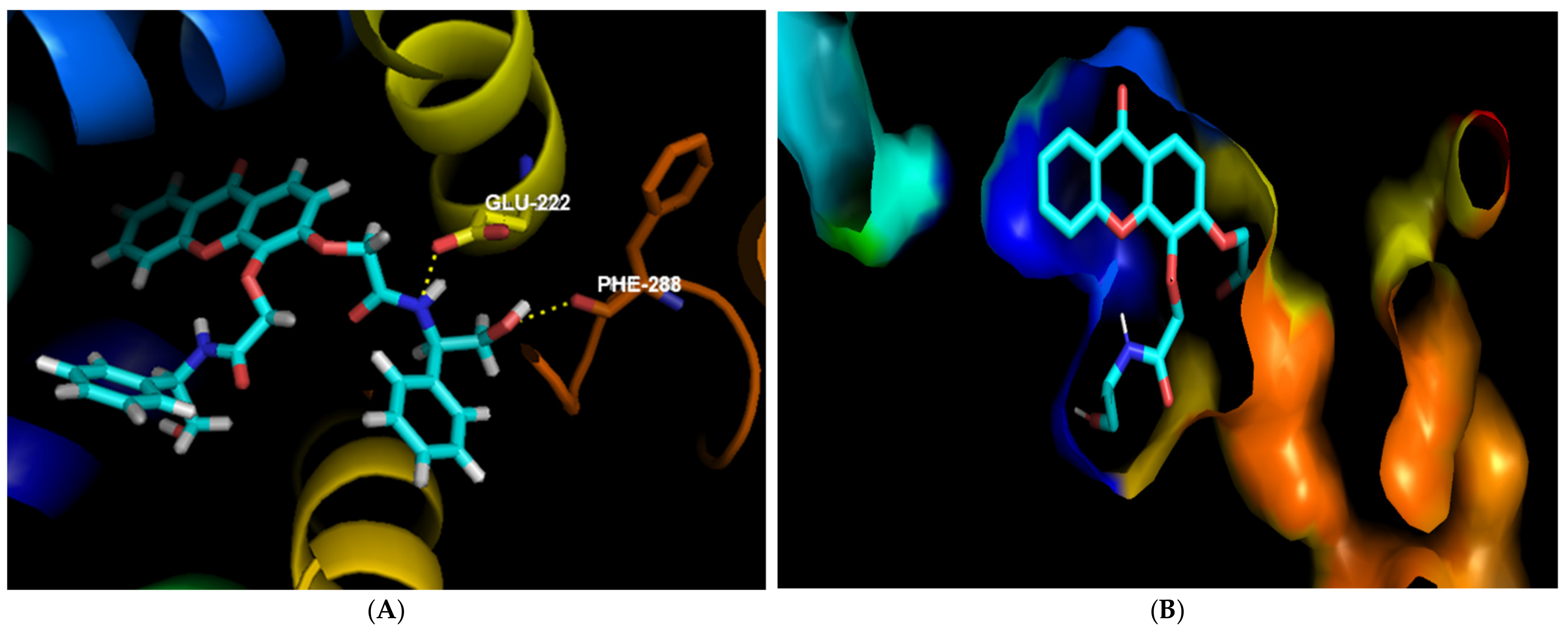 Pharmaceuticals 14 01141 g003a