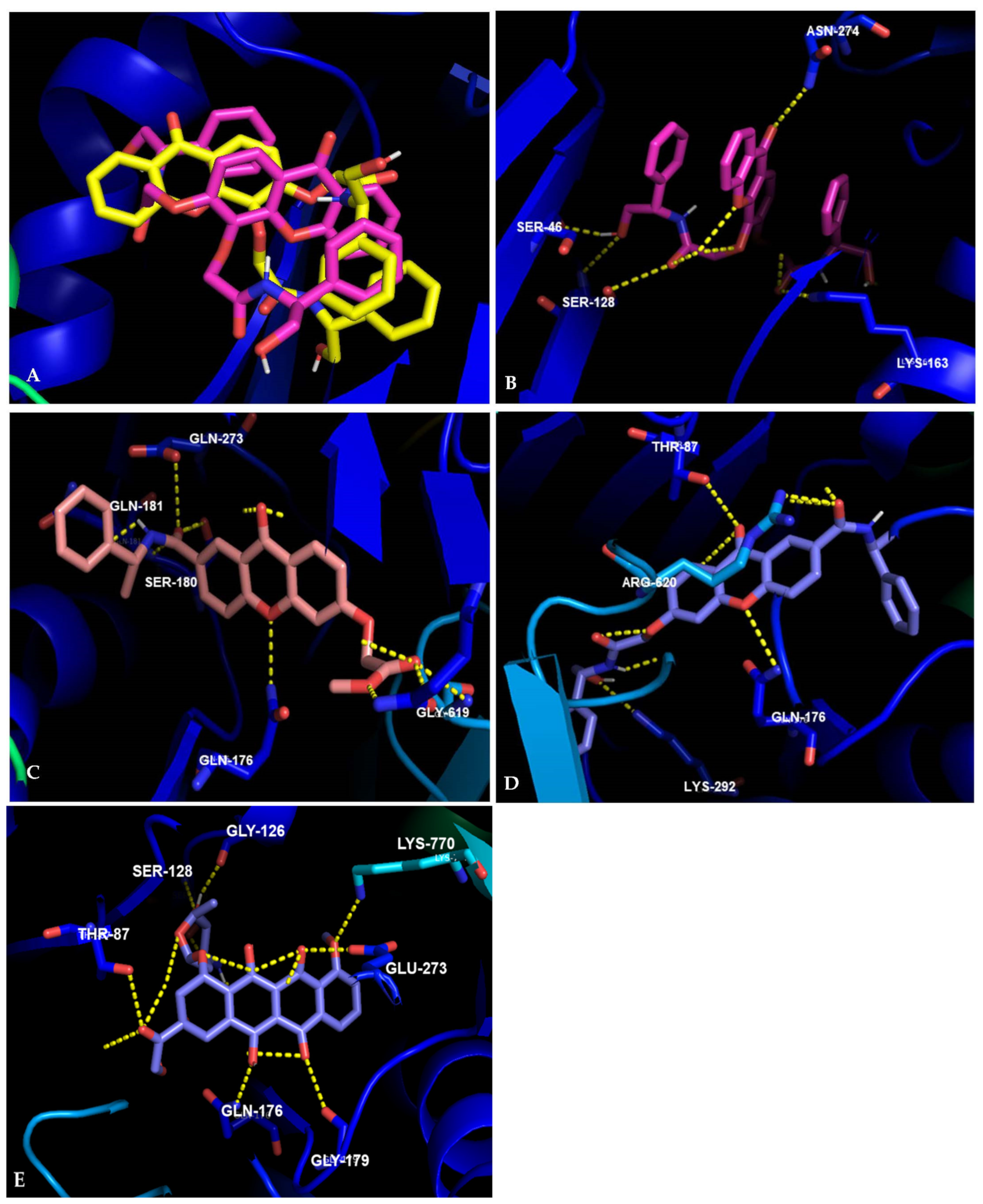 Pharmaceuticals 14 01141 g004