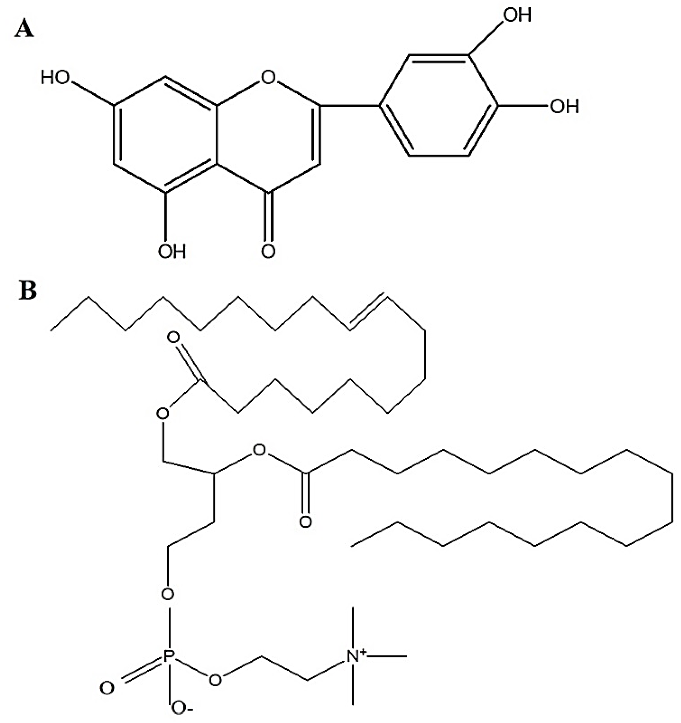 Pharmaceuticals 14 01143 g001