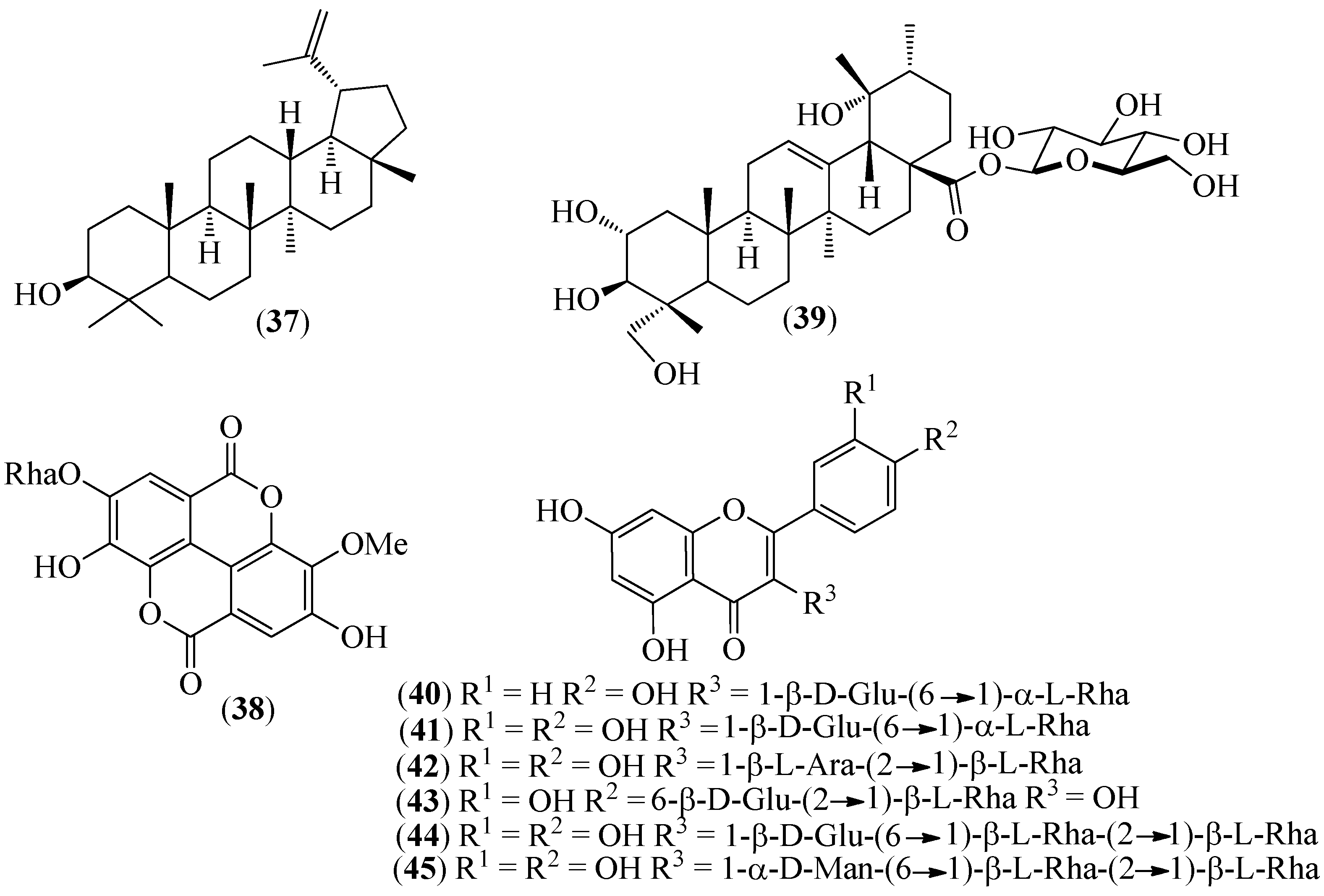 Pharmaceuticals 14 01145 g007 Pharmaceuticals 14 01145 g007
