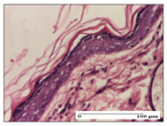 Pharmaceuticals 14 01146 i001 Pharmaceuticals 14 01146 i001