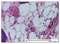 Pharmaceuticals 14 01146 i002 Pharmaceuticals 14 01146 i002