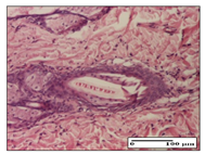 Pharmaceuticals 14 01146 i003 Pharmaceuticals 14 01146 i003