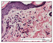 Pharmaceuticals 14 01146 i004 Pharmaceuticals 14 01146 i004