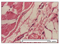 Pharmaceuticals 14 01146 i008 Pharmaceuticals 14 01146 i008