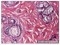 Pharmaceuticals 14 01146 i009 Pharmaceuticals 14 01146 i009