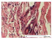 Pharmaceuticals 14 01146 i015 Pharmaceuticals 14 01146 i015