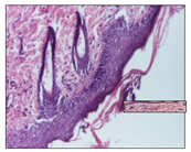 Pharmaceuticals 14 01146 i019 Pharmaceuticals 14 01146 i019