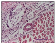 Pharmaceuticals 14 01146 i020 Pharmaceuticals 14 01146 i020