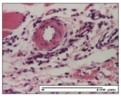 Pharmaceuticals 14 01146 i021 Pharmaceuticals 14 01146 i021