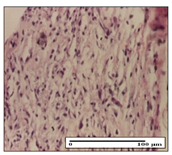 Pharmaceuticals 14 01146 i022 Pharmaceuticals 14 01146 i022