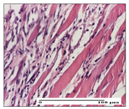 Pharmaceuticals 14 01146 i023 Pharmaceuticals 14 01146 i023