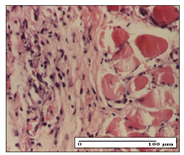 Pharmaceuticals 14 01146 i024 Pharmaceuticals 14 01146 i024