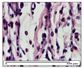 Pharmaceuticals 14 01146 i025 Pharmaceuticals 14 01146 i025