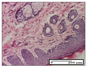 Pharmaceuticals 14 01146 i026 Pharmaceuticals 14 01146 i026