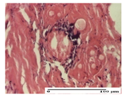 Pharmaceuticals 14 01146 i027 Pharmaceuticals 14 01146 i027