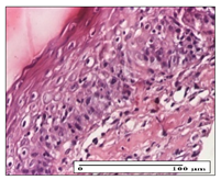 Pharmaceuticals 14 01146 i029 Pharmaceuticals 14 01146 i029