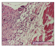 Pharmaceuticals 14 01146 i030 Pharmaceuticals 14 01146 i030