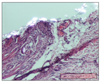 Pharmaceuticals 14 01146 i031 Pharmaceuticals 14 01146 i031