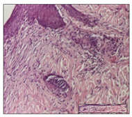 Pharmaceuticals 14 01146 i033 Pharmaceuticals 14 01146 i033