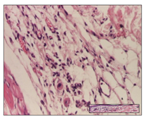 Pharmaceuticals 14 01146 i034 Pharmaceuticals 14 01146 i034